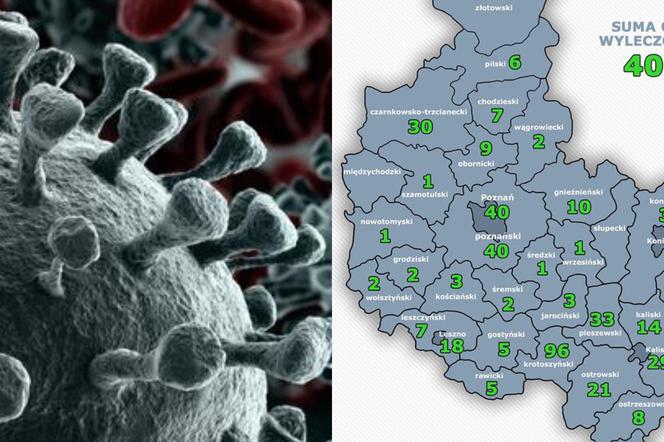 Koronawirus w Wielkopolsce