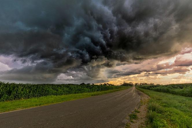 Pogoda długoterminowa na lato. Sprawdź, kiedy wziąć urlop