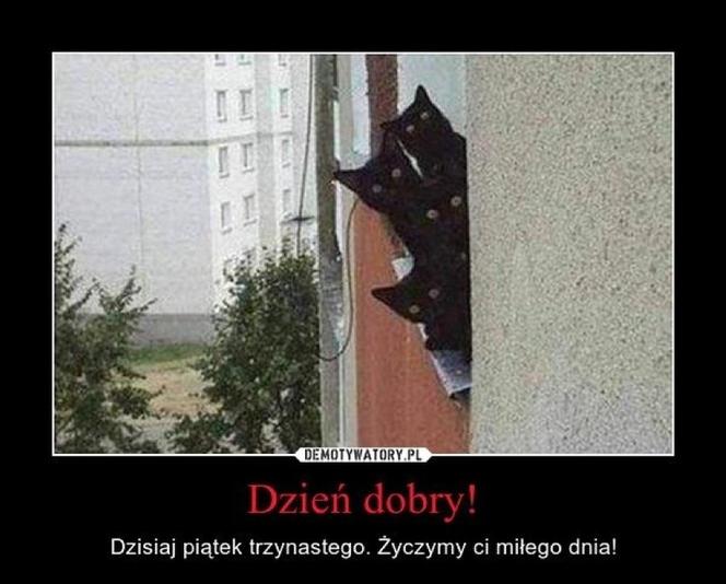 Memy na PIĄTEK trzynastego! Zobacz najśmieszniejsze obrazki w internecie! [GALERIA] 