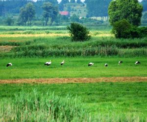 Niedługo rusza Podlaski Bon Turystyczny! Poznajcie szczegóły