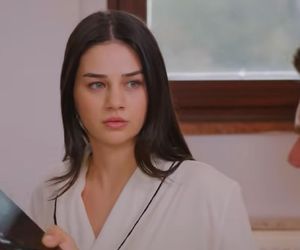 Miłość i nadzieja odc. 278. Bahar, Kuzey