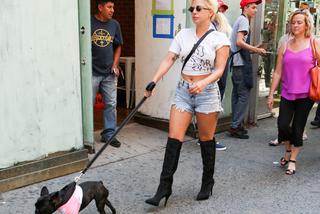 Lady Gaga z psem
