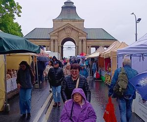 Kiermasz Pamiętajcie o ogrodach