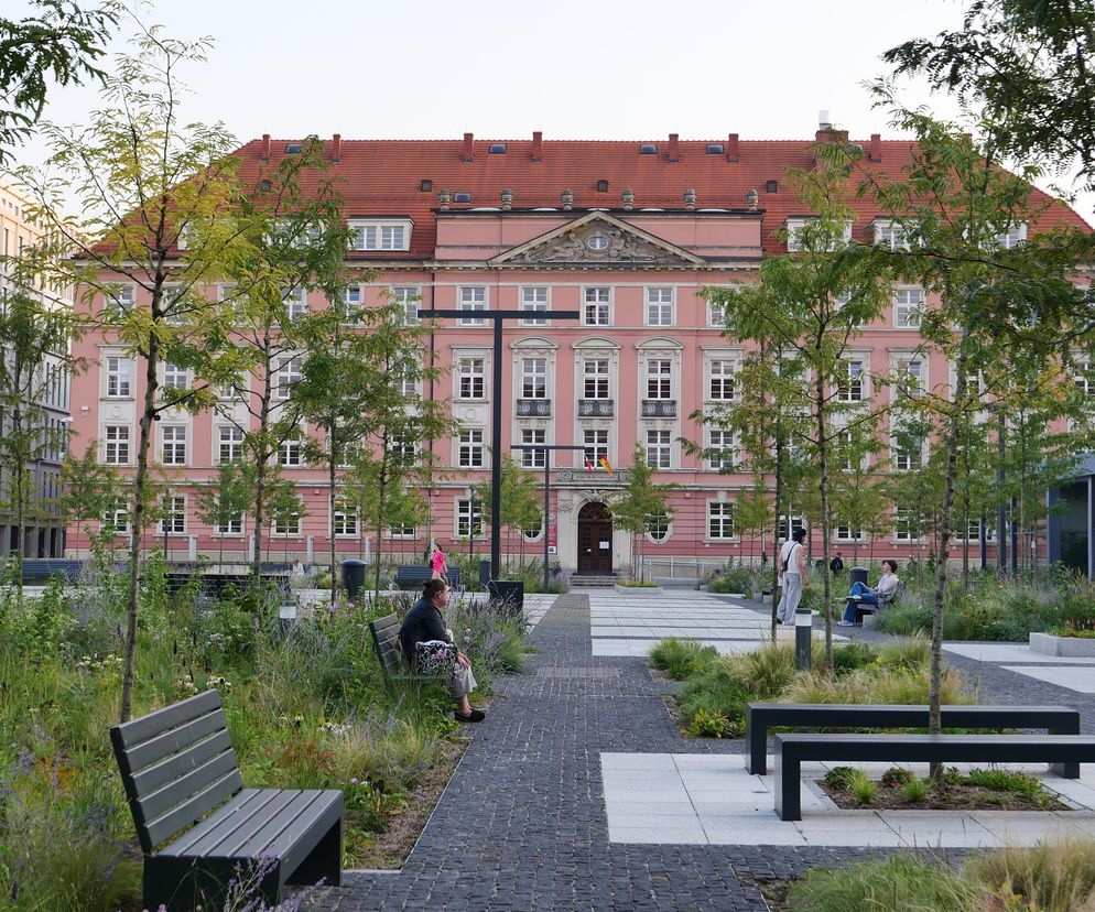 Zrewitalizowany Plac Nowy Targ we Wrocławiu, z różnorodną zielenią, licznymi ławkami miejskimi i nowymi nasadzeniami drzew, sprzyja relaksowi mieszkańców na tle historycznego budynku Urzędu Miejskiego. O szczegółach projektu Roman Rutkowski Architekci & a+f projektowanie przestrzeni przeczytasz na Architektura Murator Plus.