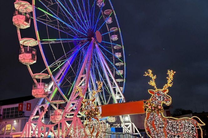 Zobacz, jakie atrakcje są dostępne na jarmarku MTP