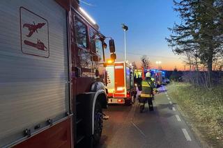 Daria zginęła w koszmarnym wypadku. Sprawca tragedii opuścił areszt