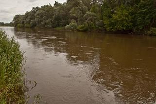 Parostatki wrócą na Bug