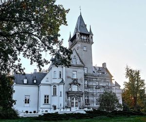 Pałac w Witosławiu