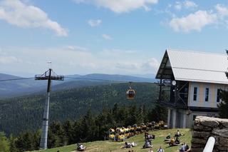 Dzieci i opiekunowie schowali się pod wiatą. Wtedy uderzył w nią piorun