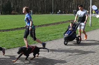 Parkrun Katowice. Wielkanocne bieganie w Parku Kościuszki