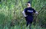 Działania służb na Wiśle w Toruniu. Straż, policja, strażnicy miejscy i grupa poszukiwawcza w akcji