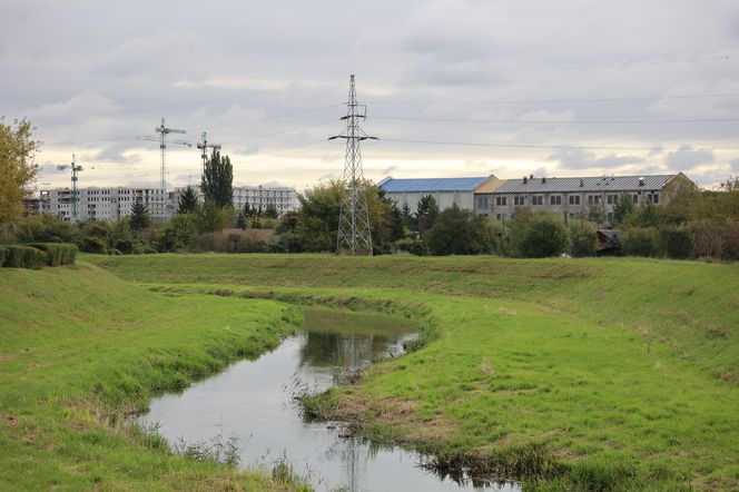 Jesienna odsłona terenów nad Bystrzycą w Lublinie. Tak się prezentuje w październiku