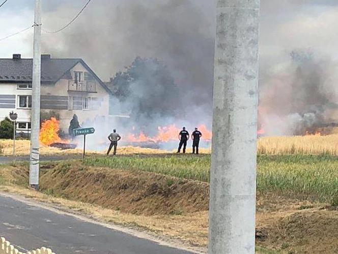 Walka z pożarem trwała kilka godzin