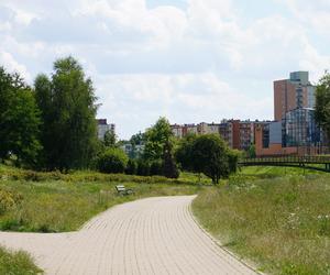 Lublin. „Filary porośnięte bluszczem” i nie tylko. Park Jana Pawła II w lipcowej odsłonie