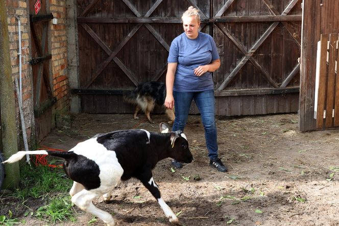 Rolnicy. Podlasie. Gospodarstwo Emilii Korolczuk z Laszek