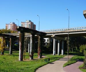 Filary porośnięte bluszczem w Lublinie! Tak się prezentują w jesiennej odsłonie