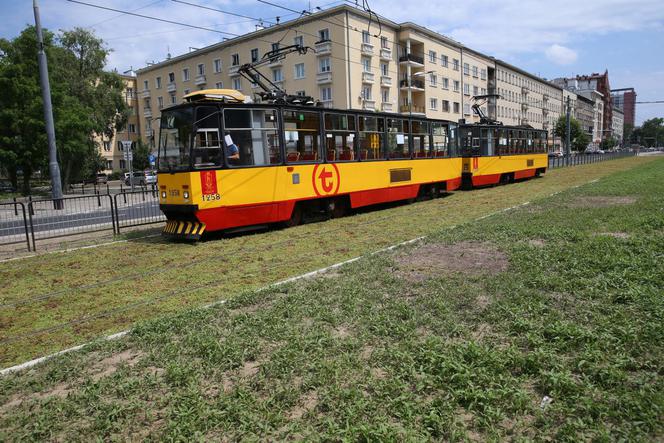 Torowisko na Grochowskiej w końcu pokrył rozchodnik