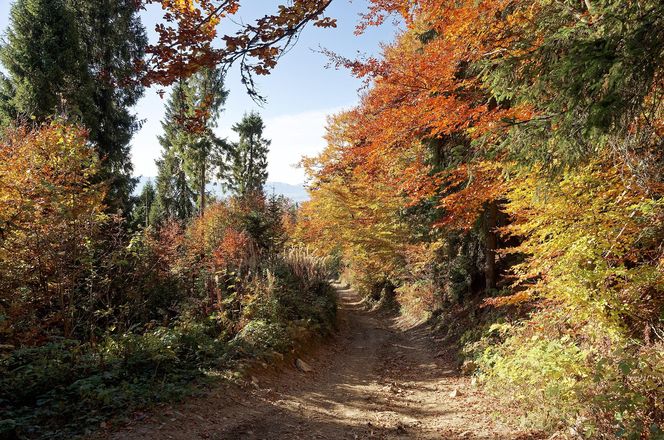 To miejsce w Małopolsce najpiękniej wygląda późną jesienią według AI. Ma status kultowego