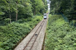 Krynica-Zdrój - zwiedzanie i atrakcje. Co tu zobaczyć i ile to kosztuje?