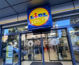 Szok w Lidlu! Sportowe hity za grosze