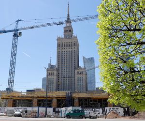 Budowa Muzeum Sztuki Nowoczesnej w Warszawie