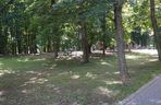 Park Miejski w Sandomierzu