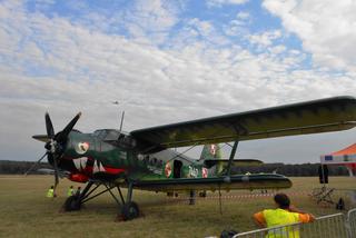 Katowice: Akrobacje lotnicze i widowiskowe pokazy pirotechniczne! Za nami pierwsza edycja Fajery