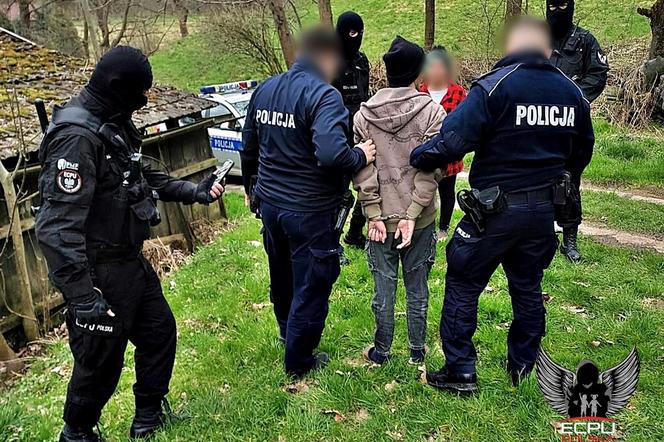 Zatrzymanie podejrzanego o pedofilię w Wiśniowej