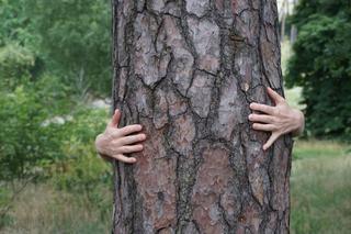 Poznań Design Festiwal - przed nami cykl letnich warsztatów