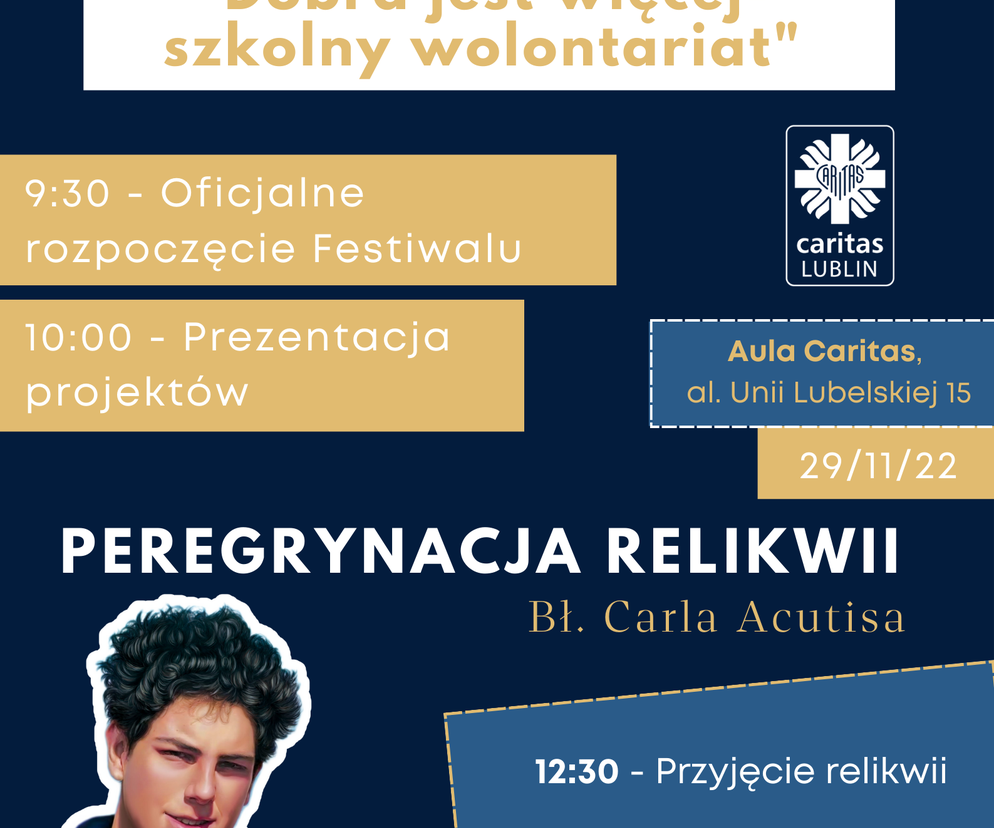 Festiwal Wolontariatu - plakat 