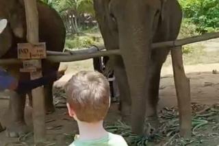 Szkoła pięcioraczków w Tajlandii