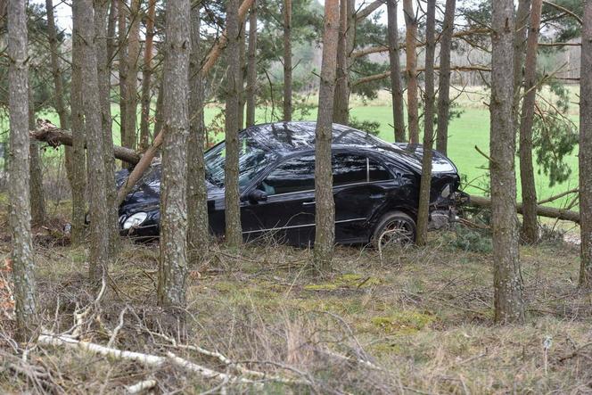 Zaorał kawałek pola i skosił kilka drzew Mercedesem. Policja poszukuje pracowitego kierowcy z gminy Cekcyn