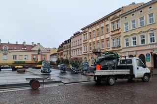 Na rzeszowskim Rynku rozpoczął się montaż świątecznej choinki 