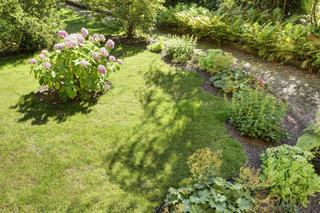 Trawnik i nawierzchnie – trzy praktyczne rozwiązania, które warto wykorzystać w ogrodzie