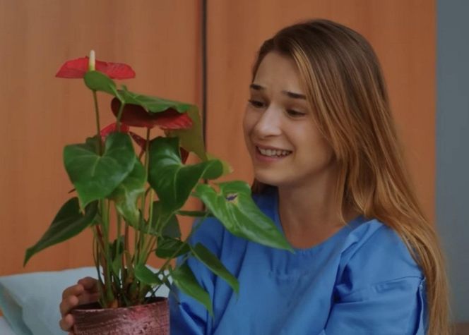 Miłość i nadzieja, odcinek 268: Sila