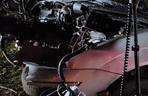 Przerażający wypadek pod Kwidzynem! 19-latek zginął w roztrzaskanym fordzie [ZDJĘCIA]