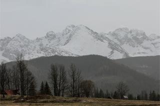 Silny wiatr w Tatrach, łamią się gałęzie i drzewa. TPN wstrzymuje sprzedaż biletów