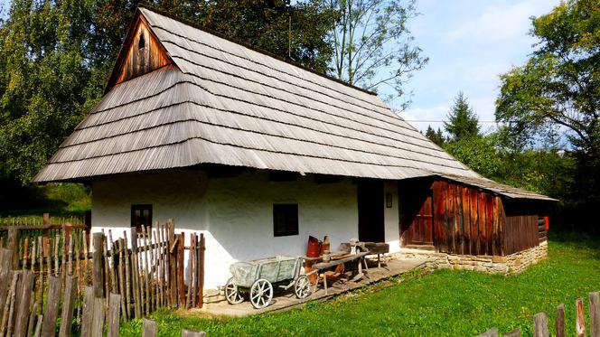 Kto ma cypek na kiepele? Sprawdź, czy dogadasz się na Podlasiu!