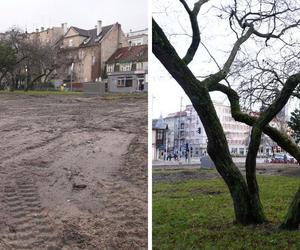 Zniknęły drzewa, bo będzie biurowiec. Kolejne takie miejsce w Gdyni