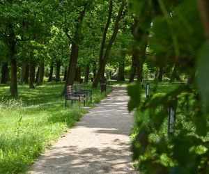  To on zaatakował kobietę w Parku Glazja