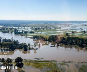 Powódź w Lubuskiem. Odra zalała ulice w Osiecznicy. Fala przechodzi koło Cigacic