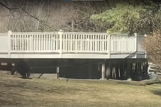 Niedźwiedzie zabawy w ogródku 