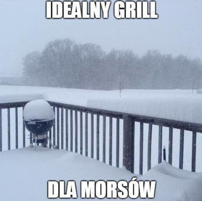 Sezon na MORSOWANIE otwarty! Zobacz najlepsze MEMY!