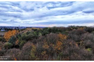 Szachty Poznań