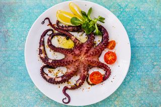 Ośmiornica z grilla, czyli  Pulpo al grill