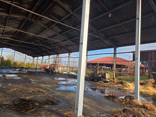 Pożar w Klubie Jeździeckim Facimiech