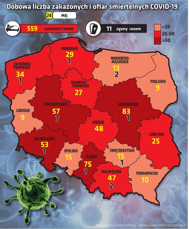 koronawirus w Polsce województwa 24 5 2021
