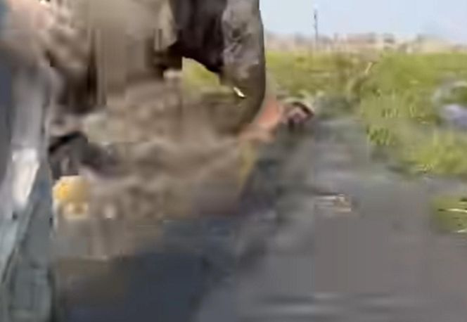 Horror na wakacjach. Zaatakowały ich słonie, wpadli do rzeki pełnej krokodyli