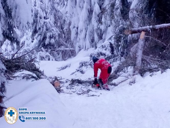 Beskid Sądecki. Przez powalone drzewa dzieci utknęły w schronisku górskim. GOPR ewakuował młodych sportowców