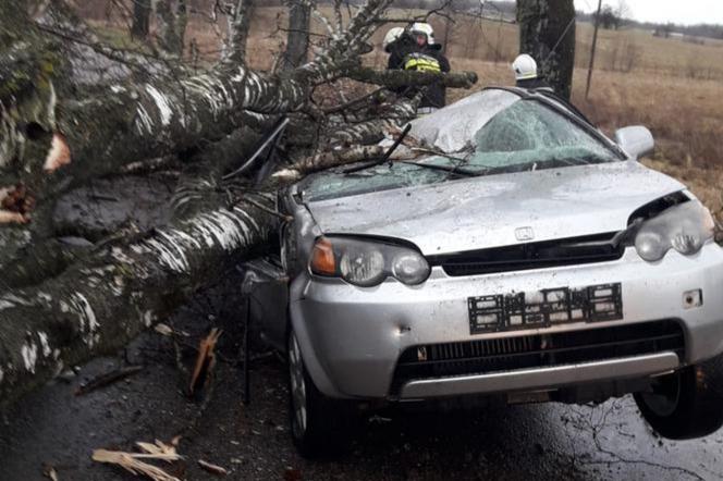 Wichura na Warmii i Mazurach. IMGW wydało ostrzeżenie! Porywy do 90 km/h